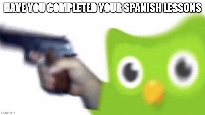 duolingo gun | HAVE YOU COMPLETED YOUR SPANISH LESSONS | image tagged in duolingo gun | made w/ Imgflip meme maker