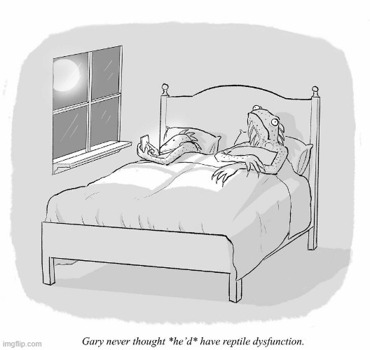 Dysfunction | image tagged in comics | made w/ Imgflip meme maker