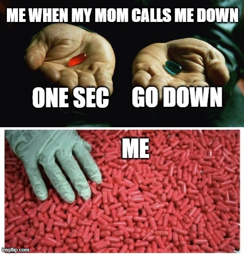 ME WHEN MY MOM CALLS ME DOWN; ONE SEC; GO DOWN; ME | image tagged in red pill blue pill,red pill blue pill choices overdose | made w/ Imgflip meme maker