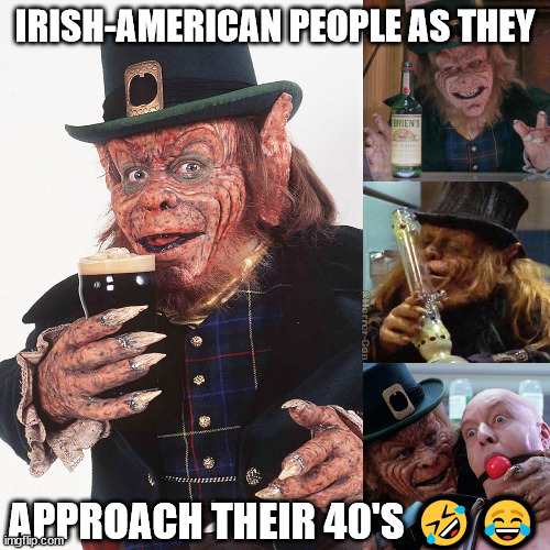 irish americans | IRISH-AMERICAN PEOPLE AS THEY; APPROACH THEIR 40'S 🤣😂 | image tagged in irish americans,stpaddys,irish,ireland,americans | made w/ Imgflip meme maker