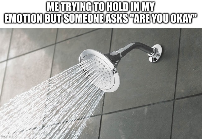 its actually hard | ME TRYING TO HOLD IN MY EMOTION BUT SOMEONE ASKS "ARE YOU OKAY" | image tagged in shower thoughts,memes,dies from cringe,funny,iceu | made w/ Imgflip meme maker