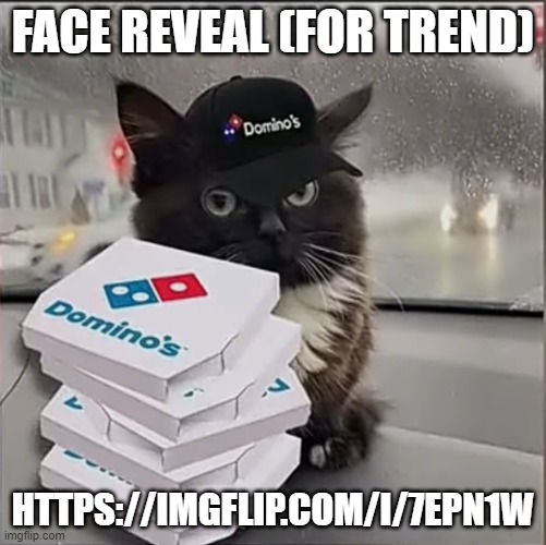 Dominos Cat | FACE REVEAL (FOR TREND); HTTPS://IMGFLIP.COM/I/7EPN1W | image tagged in dominos cat | made w/ Imgflip meme maker