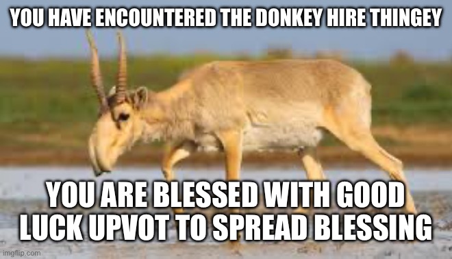 Good luck | YOU HAVE ENCOUNTERED THE DONKEY HIRE THINGEY; YOU ARE BLESSED WITH GOOD LUCK UPVOT TO SPREAD BLESSING | image tagged in donkey | made w/ Imgflip meme maker
