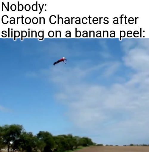 Cartoon Logic be like: | Nobody:
Cartoon Characters after slipping on a banana peel: | image tagged in cartoon logic,memes,fly,funny | made w/ Imgflip meme maker