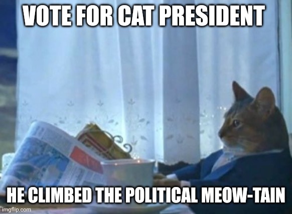 Meow-tain | VOTE FOR CAT PRESIDENT; HE CLIMBED THE POLITICAL MEOW-TAIN | image tagged in memes,i should buy a boat cat | made w/ Imgflip meme maker