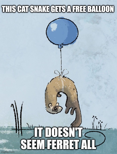 Ferret pun | THIS CAT SNAKE GETS A FREE BALLOON; IT DOESN'T SEEM FERRET ALL | image tagged in bad puns,memes | made w/ Imgflip meme maker