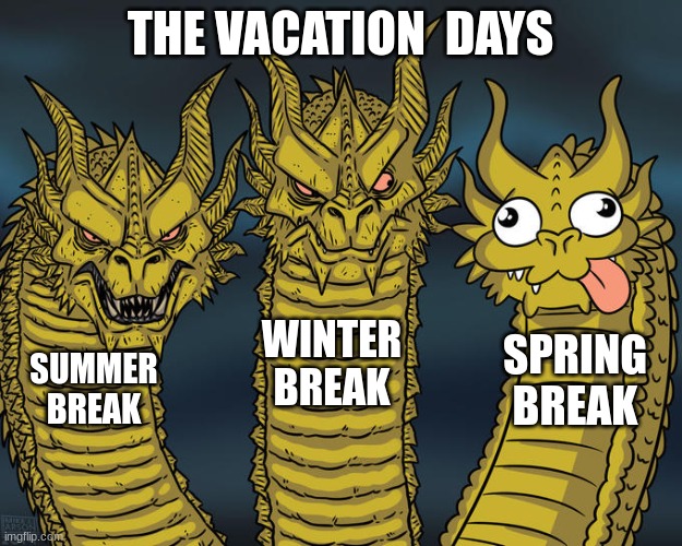 the breaks from school | THE VACATION  DAYS; WINTER BREAK; SPRING BREAK; SUMMER BREAK | image tagged in three-headed dragon | made w/ Imgflip meme maker