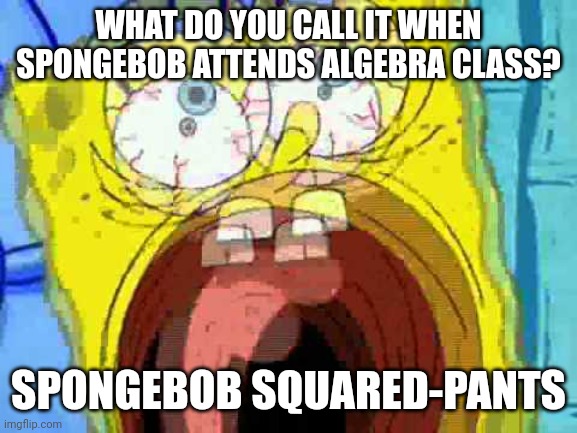 Squares, as in exponents. Lol | WHAT DO YOU CALL IT WHEN SPONGEBOB ATTENDS ALGEBRA CLASS? SPONGEBOB SQUARED-PANTS | image tagged in spongebob screaming | made w/ Imgflip meme maker