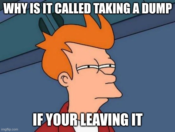 Futurama Fry | WHY IS IT CALLED TAKING A DUMP; IF YOUR LEAVING IT | image tagged in memes,futurama fry | made w/ Imgflip meme maker