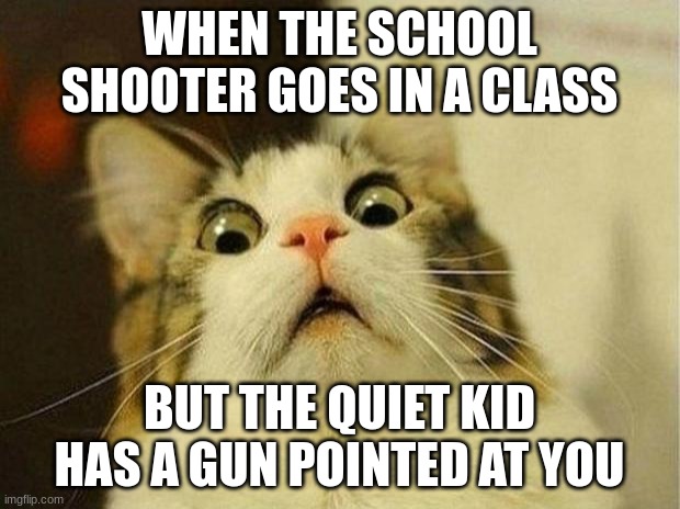 Scared Cat Meme | WHEN THE SCHOOL SHOOTER GOES IN A CLASS; BUT THE QUIET KID HAS A GUN POINTED AT YOU | image tagged in memes,scared cat | made w/ Imgflip meme maker