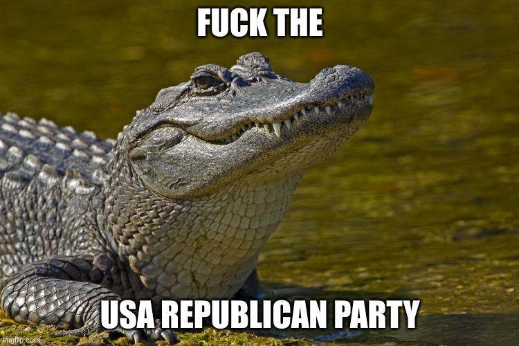 Aligatorlolhoe | FUCK THE USA REPUBLICAN PARTY | image tagged in aligatorlolhoe | made w/ Imgflip meme maker