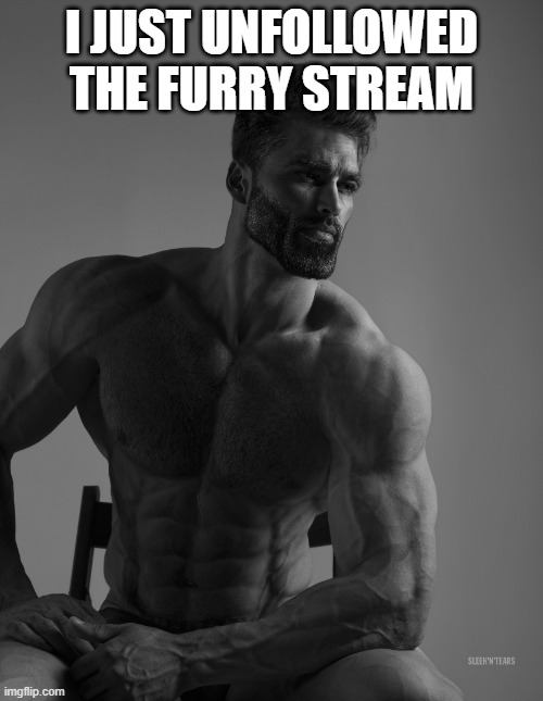 i am not a furry anymore | I JUST UNFOLLOWED THE FURRY STREAM | image tagged in giga chad | made w/ Imgflip meme maker