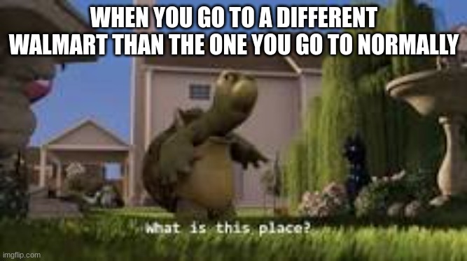 fr tho | WHEN YOU GO TO A DIFFERENT WALMART THAN THE ONE YOU GO TO NORMALLY | image tagged in funny memes | made w/ Imgflip meme maker