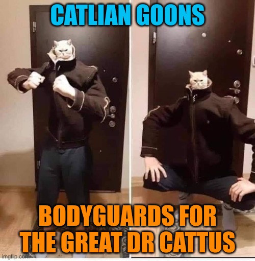 they are really hard to beat and are incredibly strong | CATLIAN GOONS; BODYGUARDS FOR THE GREAT DR CATTUS | made w/ Imgflip meme maker
