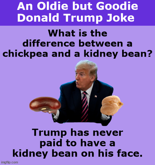 An Oldie but Goodie Donald Trump Joke | image tagged in donald trump,trump,joke,chick pee,chickpea,memes | made w/ Imgflip meme maker