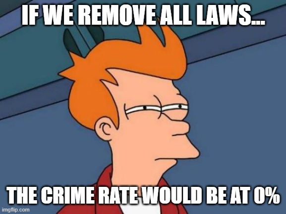 Futurama Fry Meme | IF WE REMOVE ALL LAWS... THE CRIME RATE WOULD BE AT 0% | image tagged in memes,futurama fry | made w/ Imgflip meme maker