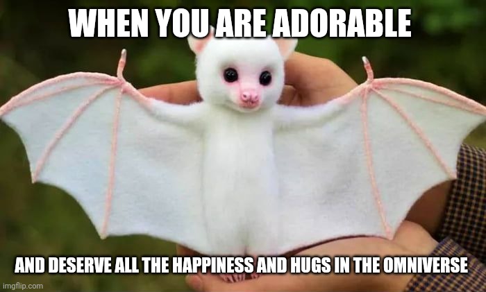 This bat is adorable | WHEN YOU ARE ADORABLE; AND DESERVE ALL THE HAPPINESS AND HUGS IN THE OMNIVERSE | image tagged in adorable,memes | made w/ Imgflip meme maker