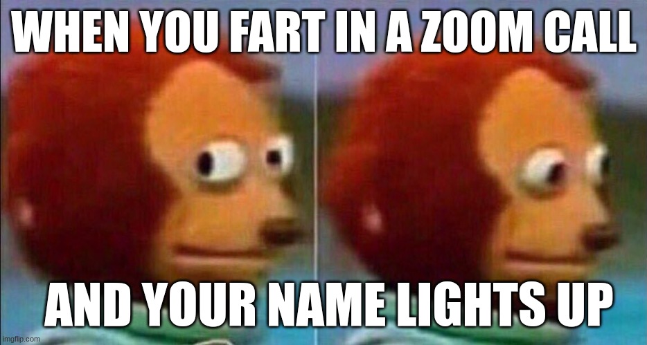 Monkey looking away | WHEN YOU FART IN A ZOOM CALL; AND YOUR NAME LIGHTS UP | image tagged in monkey looking away | made w/ Imgflip meme maker