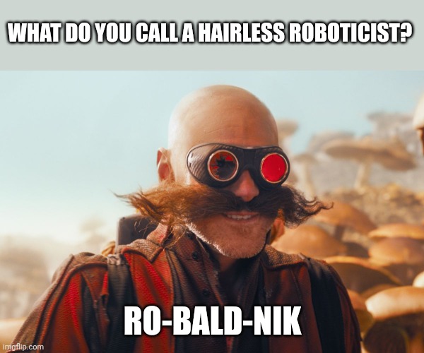 Ro-bald-nik | WHAT DO YOU CALL A HAIRLESS ROBOTICIST? RO-BALD-NIK | image tagged in puns,sonic the hedgehog,jokes,jpfan102504 | made w/ Imgflip meme maker