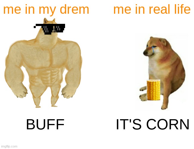 Buff Doge vs. Cheems | me in my drem; me in real life; BUFF; IT'S CORN | image tagged in memes,buff doge vs cheems | made w/ Imgflip meme maker
