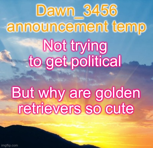 Dawn_3456 announcement | Not trying to get political; But why are golden retrievers so cute | image tagged in dawn_3456 announcement | made w/ Imgflip meme maker