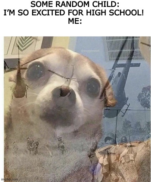 0_0 | SOME RANDOM CHILD: I’M SO EXCITED FOR HIGH SCHOOL! 
ME: | image tagged in ptsd chihuahua | made w/ Imgflip meme maker