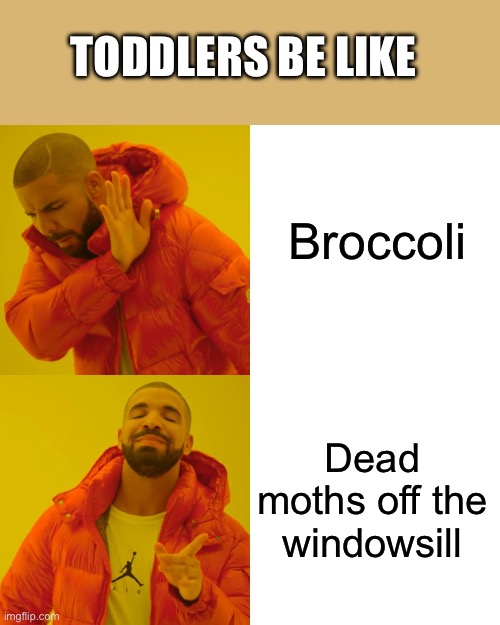 Drake Hotline Bling Meme | TODDLERS BE LIKE; Broccoli; Dead moths off the windowsill | image tagged in memes,drake hotline bling | made w/ Imgflip meme maker