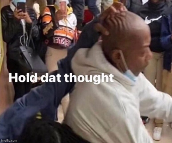 Hold Dat Thought | image tagged in hold dat thought | made w/ Imgflip meme maker