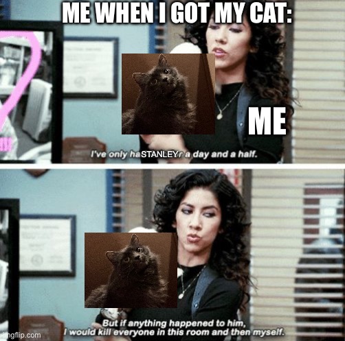 He’s my child | ME WHEN I GOT MY CAT:; ME; STANLEY | image tagged in i've only had arlo for a day and a half,cats,cute cats | made w/ Imgflip meme maker