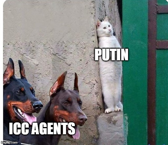 Wanted cat |  PUTIN; ICC AGENTS | image tagged in hidden cat,vladimir putin,ive committed various war crimes,war criminal,ukrainian lives matter,first world problems | made w/ Imgflip meme maker