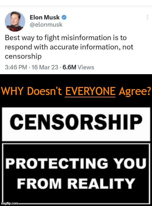 Common Sense Truth | __________; WHY Doesn't EVERYONE Agree? | image tagged in politics,elon musk,censorship,information,truth,freedom of speech | made w/ Imgflip meme maker