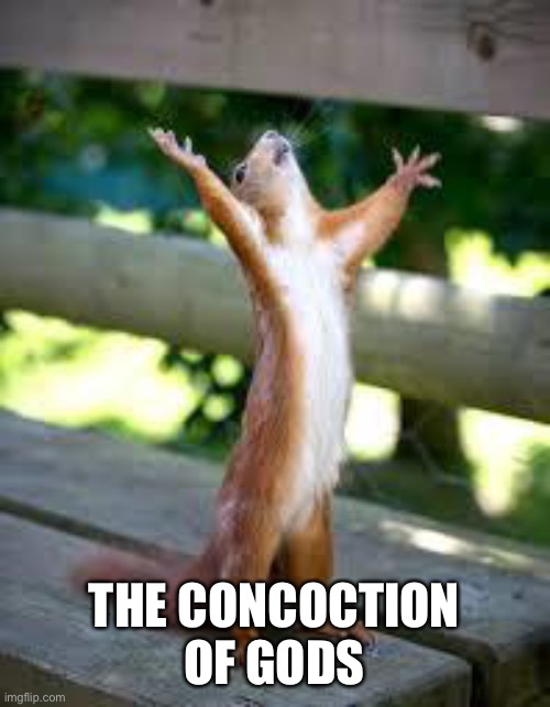 Praise Squirrel | THE CONCOCTION OF GODS | image tagged in praise squirrel | made w/ Imgflip meme maker