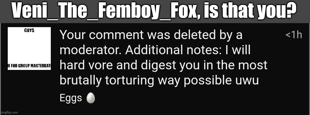 Nvm, it was Coal-the-Coywolf | Veni_The_Femboy_Fox, is that you? | made w/ Imgflip meme maker