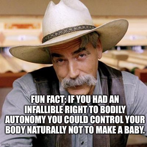 SARCASM COWBOY | FUN FACT: IF YOU HAD AN INFALLIBLE RIGHT TO BODILY AUTONOMY YOU COULD CONTROL YOUR BODY NATURALLY NOT TO MAKE A BABY. | image tagged in abortion is murder | made w/ Imgflip meme maker