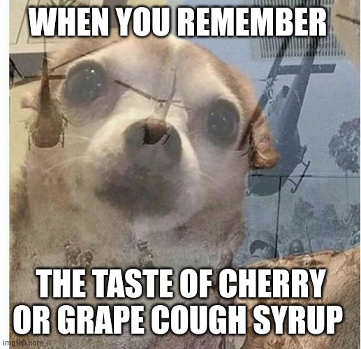 Cough syrup PTSD | WHEN YOU REMEMBER; THE TASTE OF CHERRY OR GRAPE COUGH SYRUP | image tagged in ptsd chihuahua | made w/ Imgflip meme maker