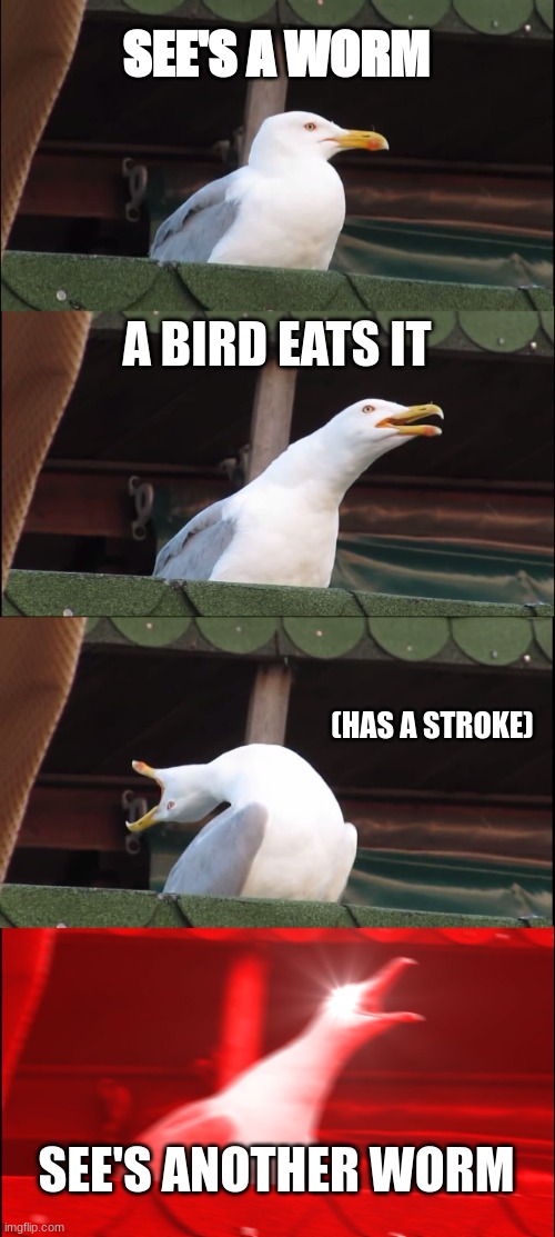 Inhaling Seagull | SEE'S A WORM; A BIRD EATS IT; (HAS A STROKE); SEE'S ANOTHER WORM | image tagged in memes,inhaling seagull | made w/ Imgflip meme maker