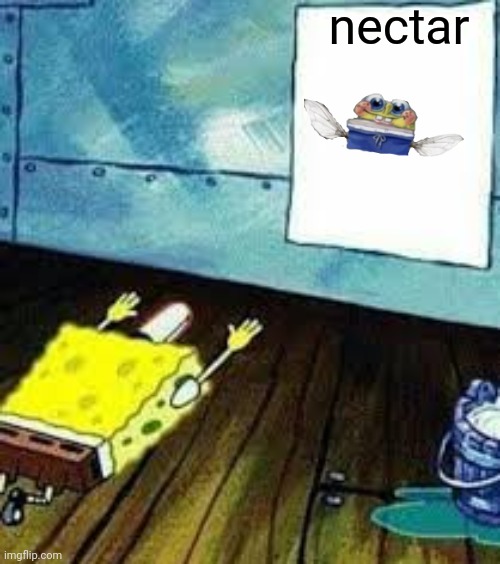 nector | nectar | image tagged in spongebob worship | made w/ Imgflip meme maker