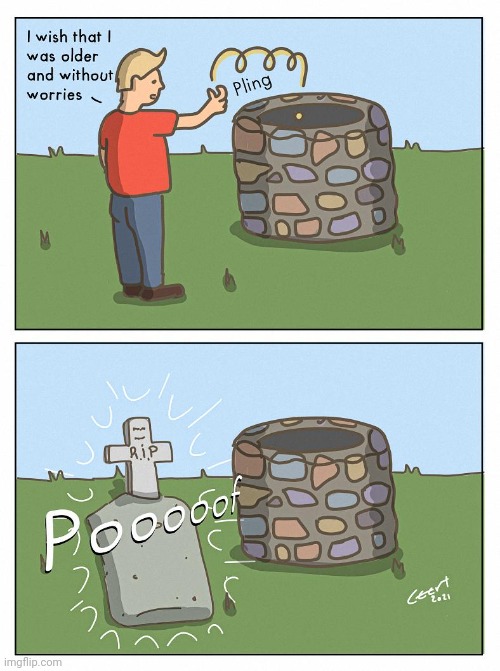 Older and then poof | image tagged in older,wishing well,poof,rip,comics,comics/cartoons | made w/ Imgflip meme maker