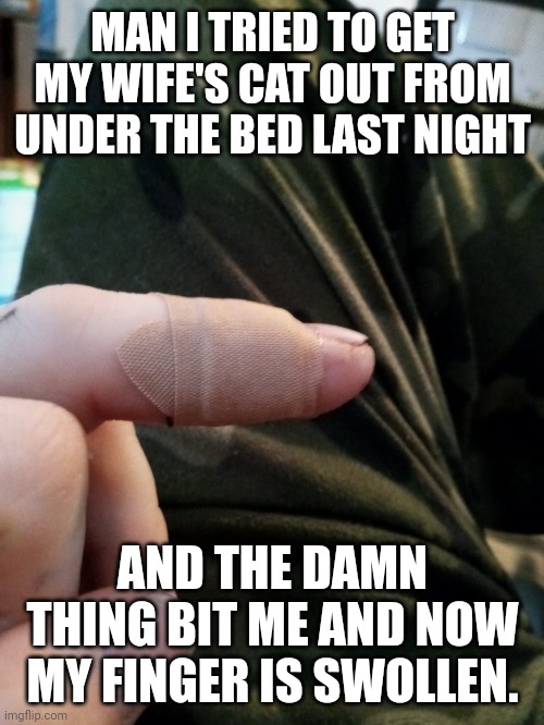 MAN I TRIED TO GET MY WIFE'S CAT OUT FROM UNDER THE BED LAST NIGHT AND THE DAMN THING BIT ME AND NOW MY FINGER IS SWOLLEN. | made w/ Imgflip meme maker