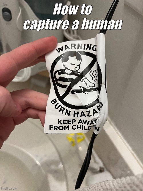 Frisk was the model for the tag on my hair dryer | How to capture a human | image tagged in undertale,frisk,lol,hahaha,oh wow are you actually reading these tags | made w/ Imgflip meme maker