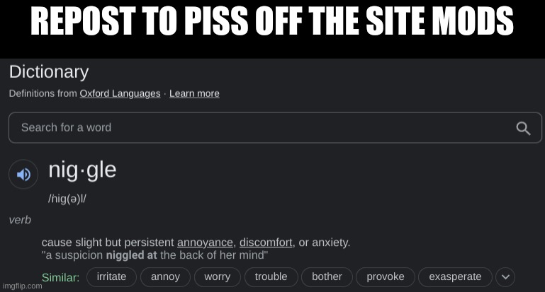 Or rather, Niggle the site mods | REPOST TO PISS OFF THE SITE MODS | made w/ Imgflip meme maker