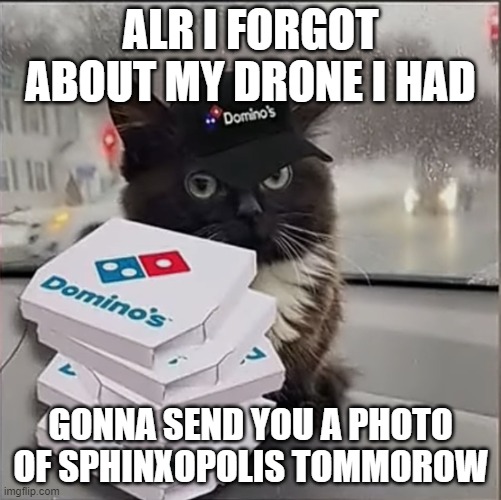 Dominos Cat | ALR I FORGOT ABOUT MY DRONE I HAD; GONNA SEND YOU A PHOTO OF SPHINXOPOLIS TOMMOROW | image tagged in dominos cat | made w/ Imgflip meme maker