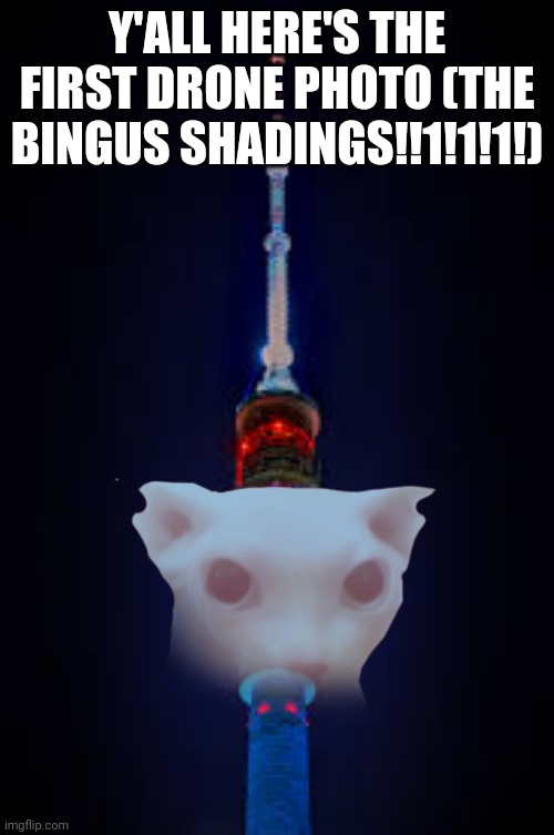 Y'ALL HERE'S THE FIRST DRONE PHOTO (THE BINGUS SHADINGS!!1!1!1!) | made w/ Imgflip meme maker