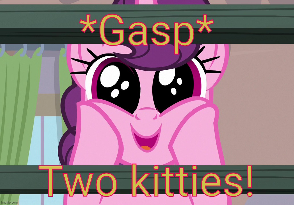 Surprised Sugar Belle (MLP) | *Gasp* Two kitties! | image tagged in surprised sugar belle mlp | made w/ Imgflip meme maker