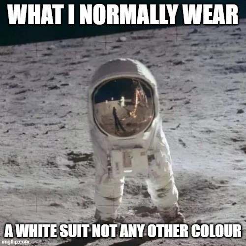 s | WHAT I NORMALLY WEAR; A WHITE SUIT NOT ANY OTHER COLOUR | image tagged in amongus | made w/ Imgflip meme maker