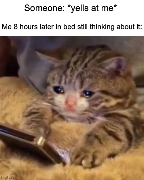 Happens all the time ngl |  Someone: *yells at me*; Me 8 hours later in bed still thinking about it: | image tagged in memes,funny,true story,relatable memes,crying,sad | made w/ Imgflip meme maker