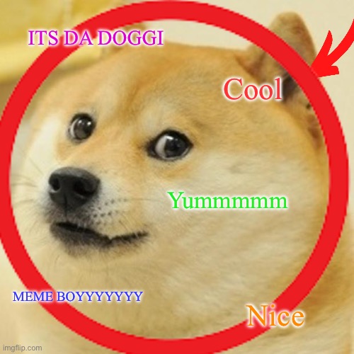 Doge | ITS DA DOGGI; Cool; Yummmmm; MEME BOYYYYYYY; Nice | image tagged in funny memes | made w/ Imgflip meme maker