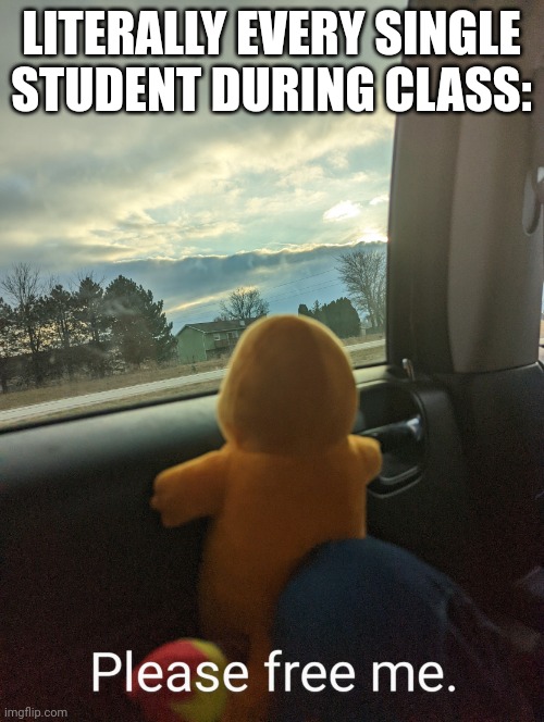 Truthful | LITERALLY EVERY SINGLE STUDENT DURING CLASS: | image tagged in window charmander | made w/ Imgflip meme maker
