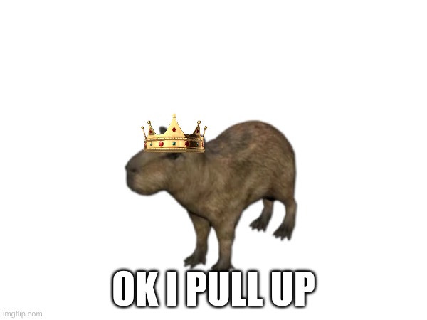capybara | OK I PULL UP | image tagged in jokes | made w/ Imgflip meme maker