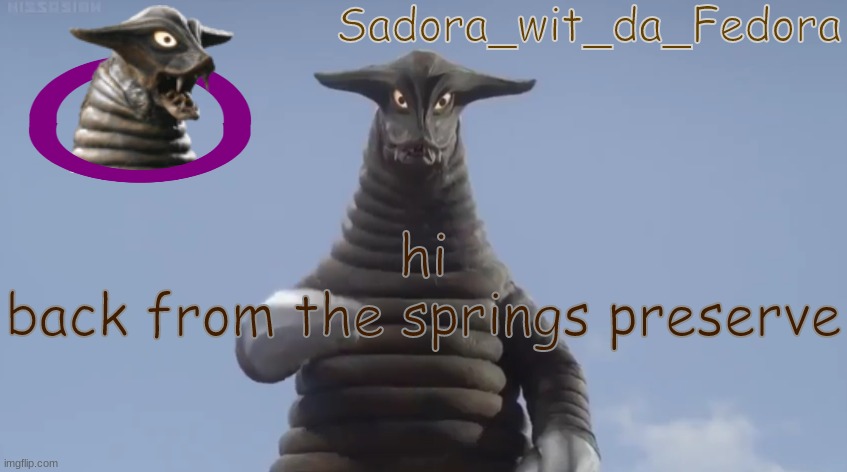 kln | hi
back from the springs preserve | made w/ Imgflip meme maker